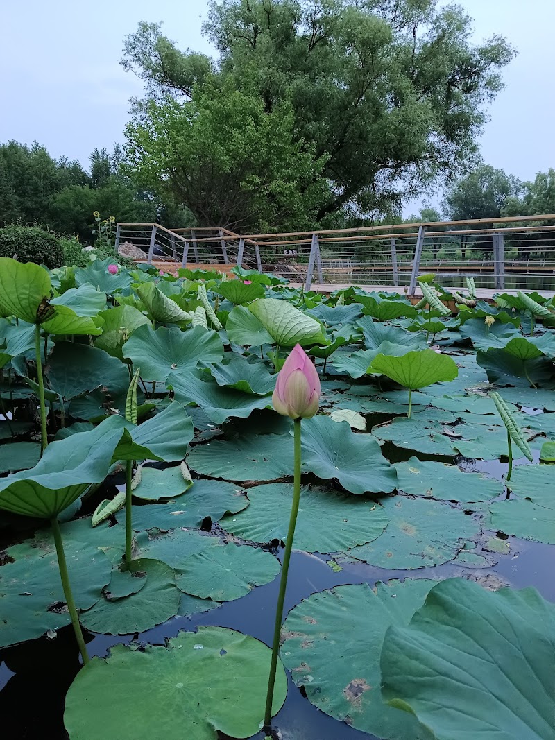 Explore the Changchun World Sculpture Park - Changchun - China - booked ai