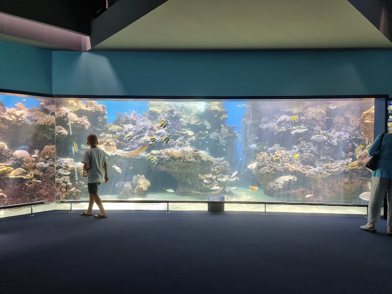 Lagoon Aquarium - Nouméa - New Caledonia - booked ai