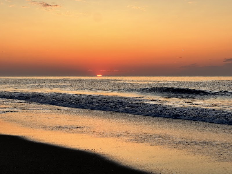 Assateague Island and Beach - Chincoteague - United States - booked ai