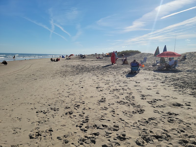 Assateague Island and Beach - Chincoteague - United States - booked ai