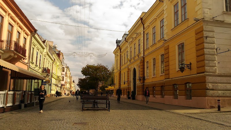 Chernivtsi Regional Museum of Local Lore - Chernivtsi - Ukraine - booked ai