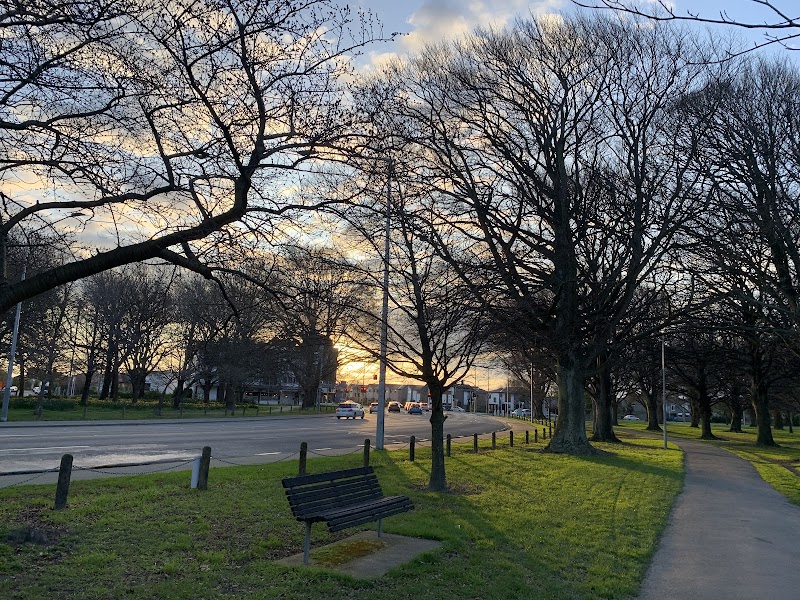 Hagley Park - Christchurch - New Zealand - booked ai