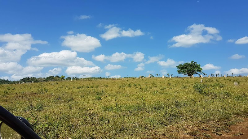 Buggy Fun Vanuatu - Port Vila - Vanuatu - booked ai