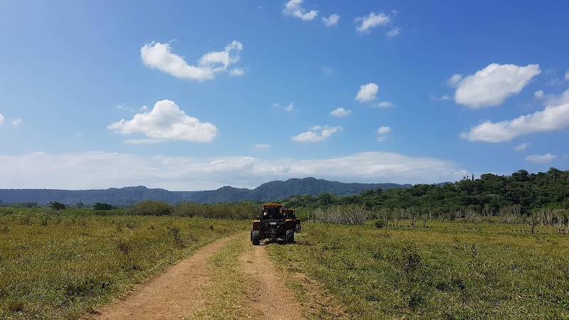 Buggy Fun Vanuatu - Port Vila - Vanuatu - booked ai