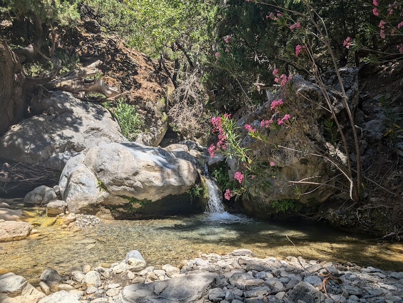 Hike the Samaria Gorge - Sfakia - Greece - booked ai