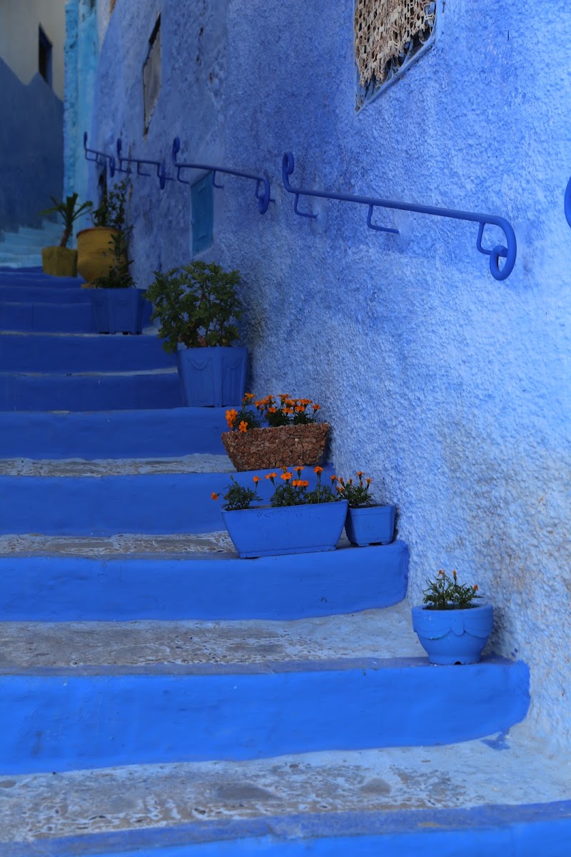 Hike to the Spanish Mosque - Chefchaouen - Morocco - booked ai