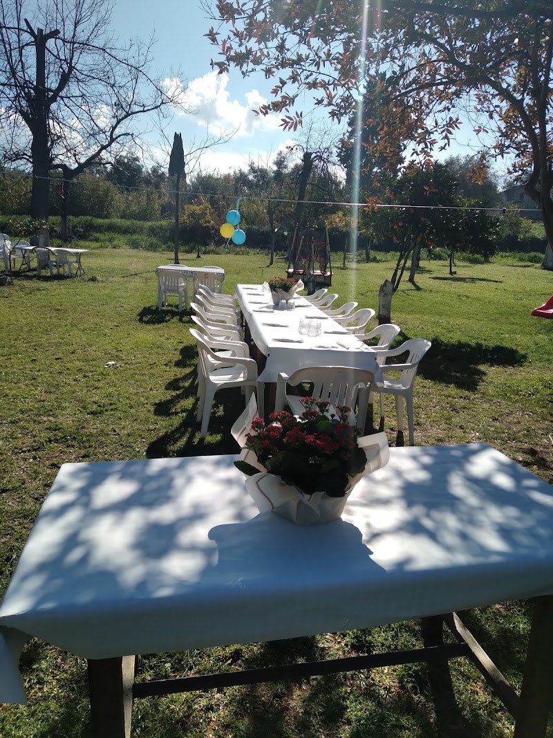 Vrisi Restaurant - Polis Chrysochous - Cyprus - booked ai