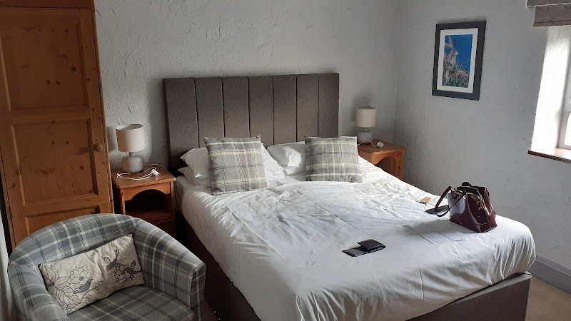 The Hoops Inn & Country Hotel - Devon - UK - booked ai