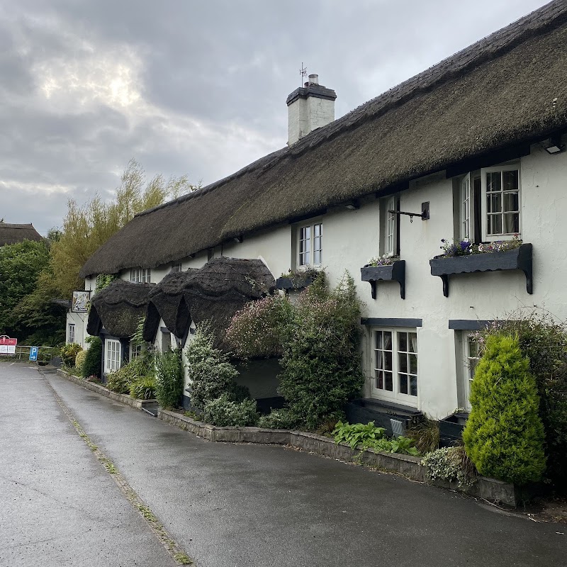 The Hoops Inn & Country Hotel - Devon - UK - booked ai