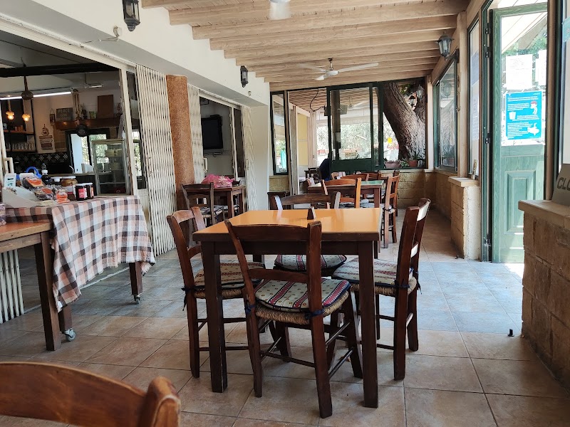 Hani Restaurant Pissouri - Pissouri - Cyprus - booked ai
