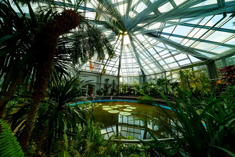 Explore Central Park and the Cluj-Napoca Botanical Garden - Cluj-Napoca - Romania - booked ai