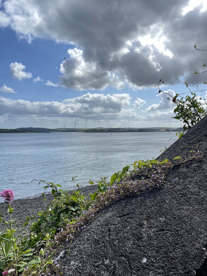 Walk along the Cobh Harbour and Promenade - Cobh - Ireland - booked ai