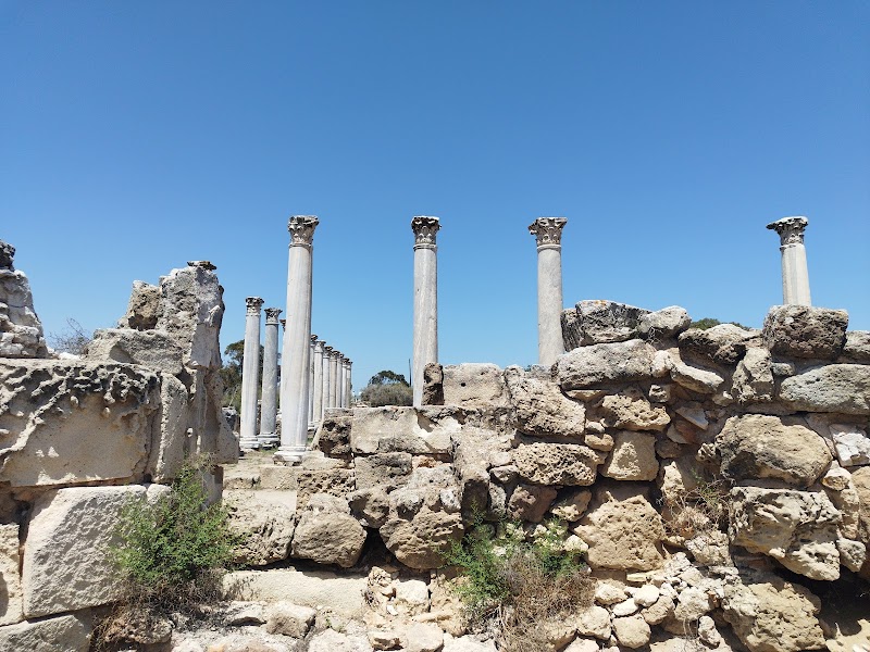 Ancient Salamis - Famagusta - Cyprus - booked ai
