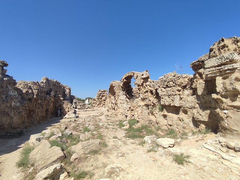 Ancient Salamis - Famagusta - Cyprus - booked ai