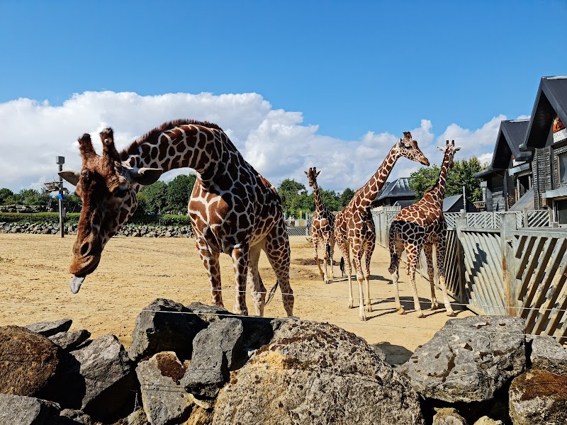 Colchester Zoo - Stanway - United Kingdom - booked ai