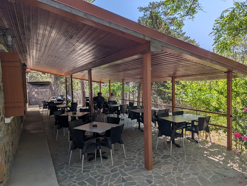 Pinea - Troodos - Cyprus - booked ai