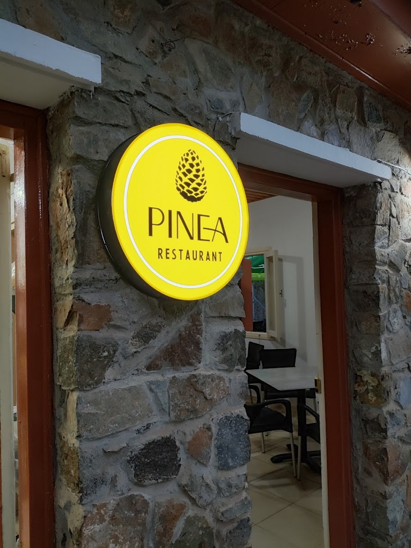 Pinea - Troodos - Cyprus - booked ai