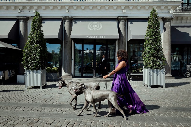 Hotel d'Angleterre - København - Denmark - booked ai