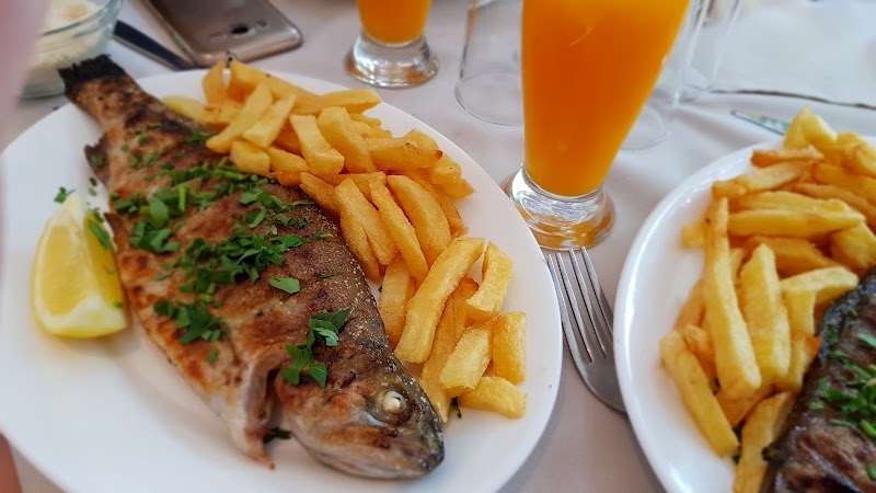 Psilo Dendro - Pano Platres - Cyprus - booked ai