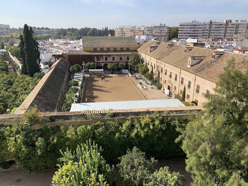 Córdoba Horseback Riding Experience - Córdoba - Spain - booked ai