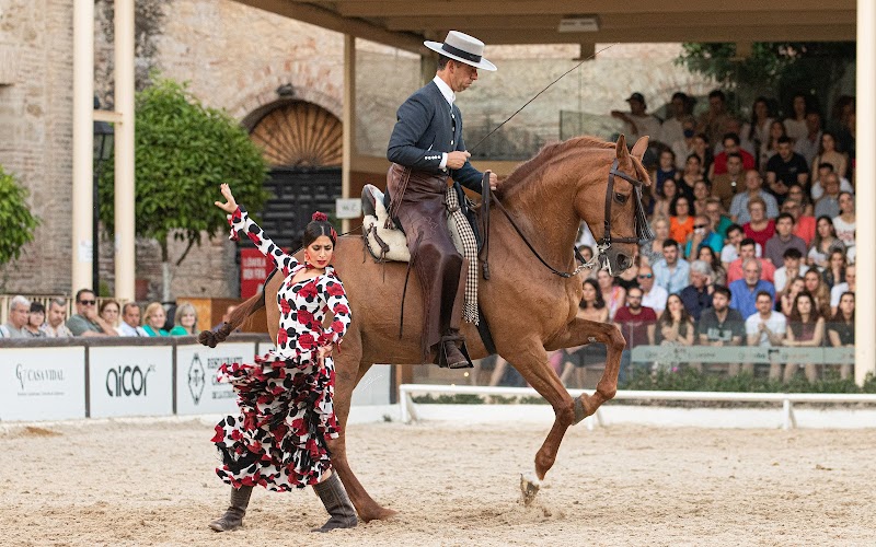 Córdoba Horseback Riding Experience - Córdoba - Spain - booked ai