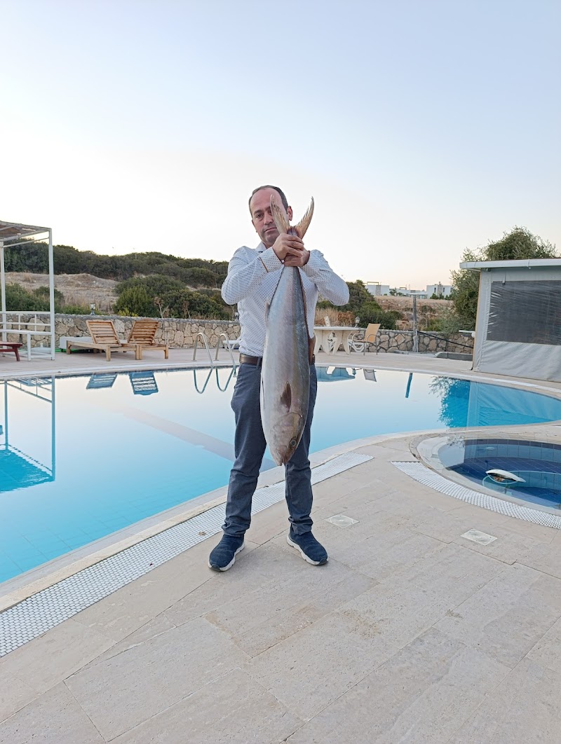 Down The Hill Restaurant And Bar - Bahçeli - Turkey - booked ai