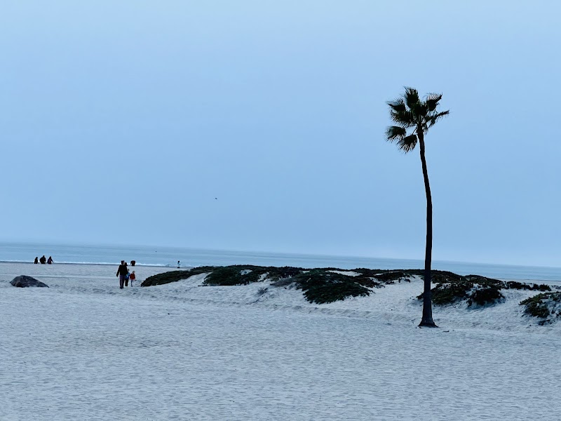 Hotel del Coronado - Coronado - USA - booked ai