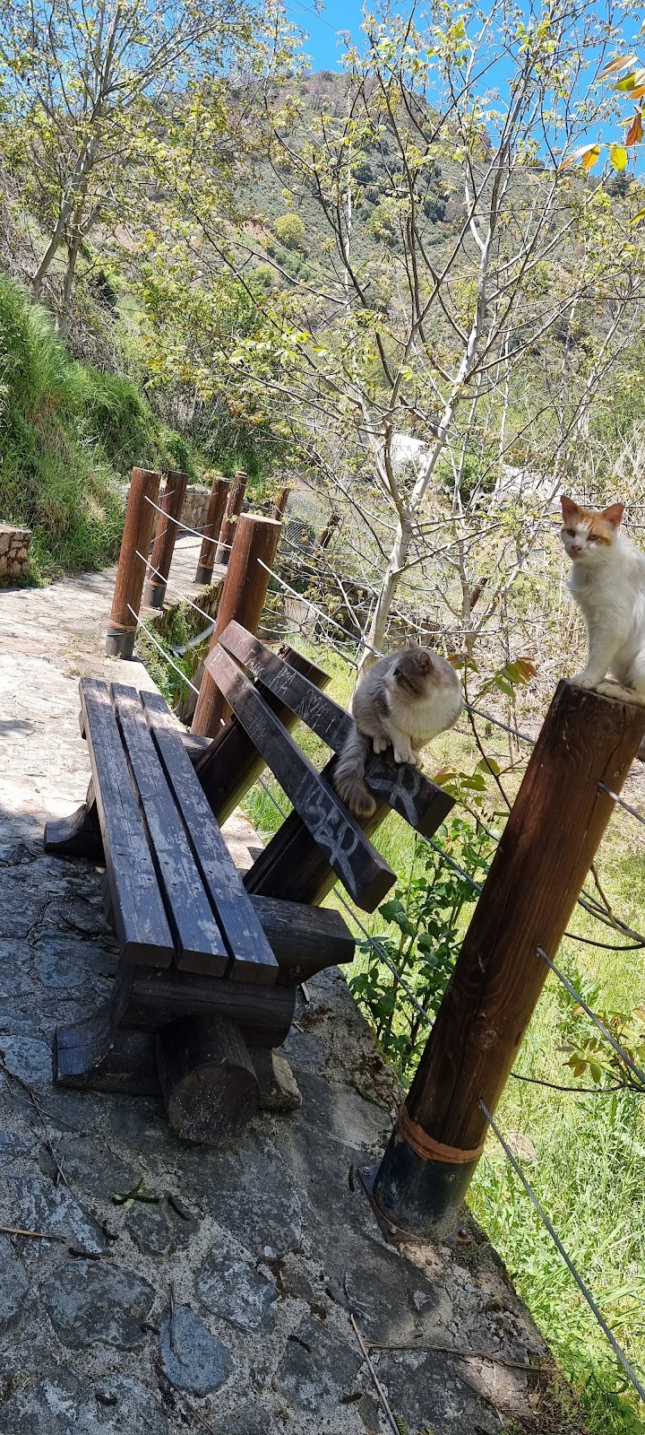 The Old Kakopetria: South Entrance Overview - Kakopetria - Cyprus - booked ai