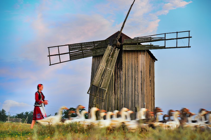 Tour the Gagauzian National University Campus - Comrat - Moldova - booked ai