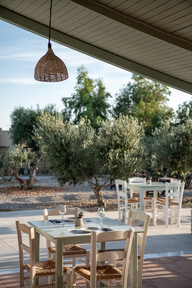 Relax on Elafonissi Beach - Kissamos - Greece - booked ai