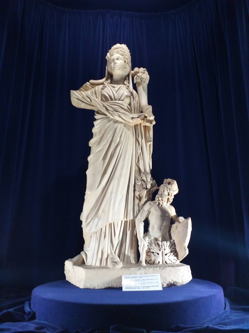 Explore the National History and Archeology Museum - Constanța - Romania - booked ai