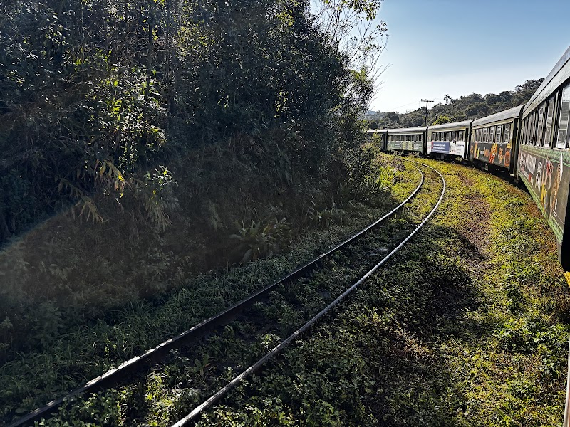 Ride the Curitiba-Piraquara Historic Train - Curitiba - Brazil - booked ai