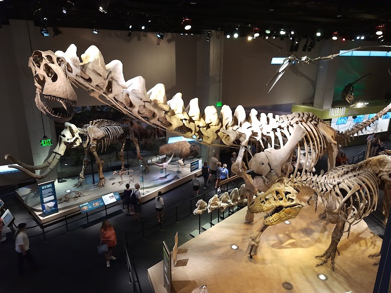 Perot Museum of Nature and Science - Dallas - United States - booked ai