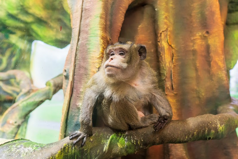 Latgale Zoo - Daugavpils - Latvia - booked ai