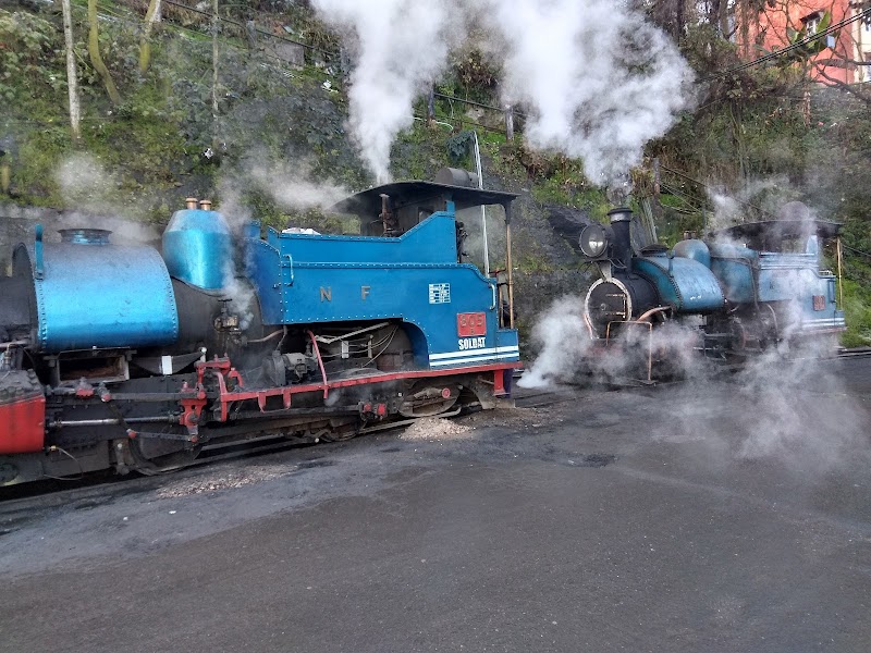 Ride the Darjeeling Himalayan Railway (Toy Train) - Kurseong - India - booked ai