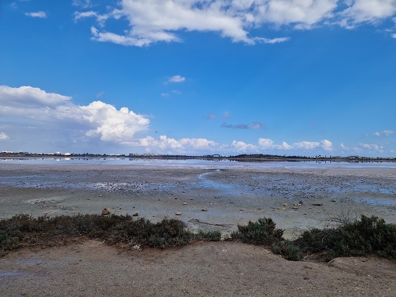 Hala Sultan Tekke: Historical Insights and Cultural Significance - Larnaka - Cyprus - booked ai