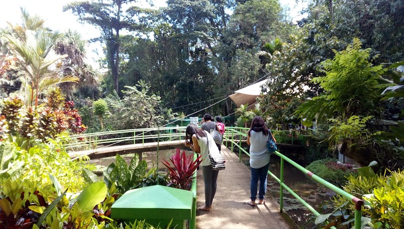 Visit the Philippine Eagle Center - Davao City - Philippines - booked ai