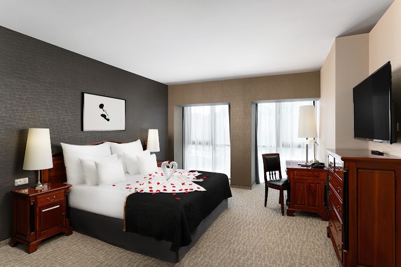 Hotel Divinus - Debrecen - Hungary - booked ai