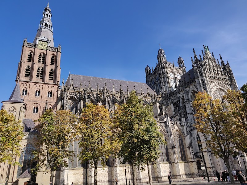 Visit St. John's Cathedral (Sint-Janskathedraal) - 's-Hertogenbosch - Netherlands - booked ai