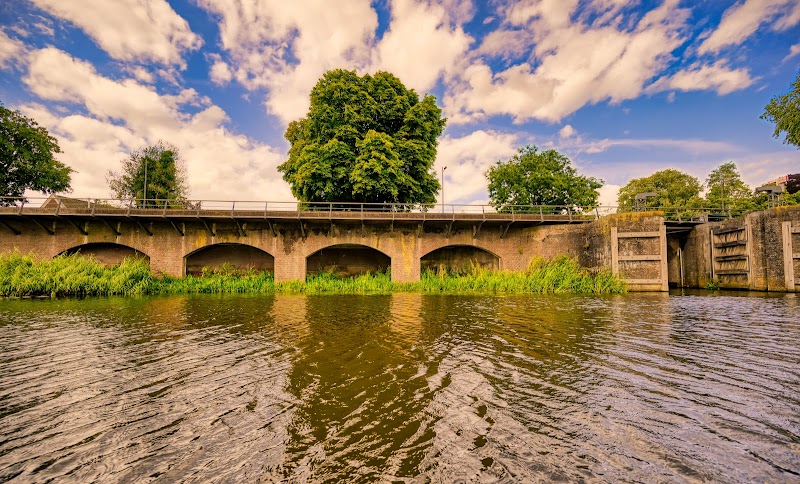 Take a boat tour through the Binnendieze canals - 's-Hertogenbosch - Netherlands - booked ai