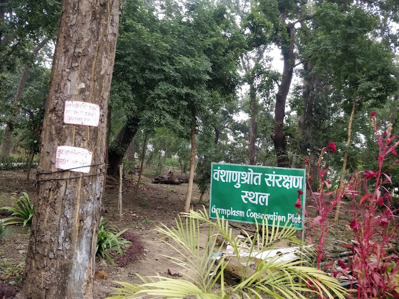 Explore Jokhar Lake - Dhangadhi - Nepal - booked ai