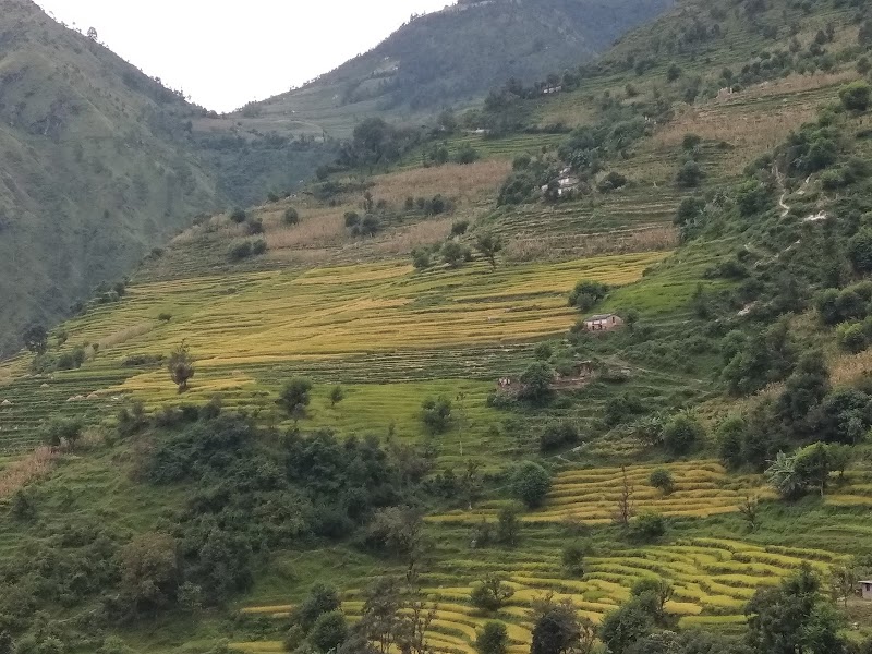 Hotel Sathi - Dhangarhi - Nepal - booked ai