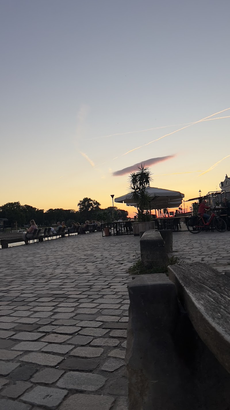 Visit the Deventer Book Market (Deventer Boekenmarkt) - Deventer - Netherlands - booked ai