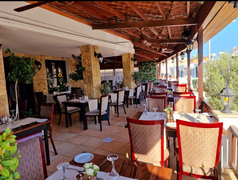 The Windmill - Pafos - Cyprus - booked ai