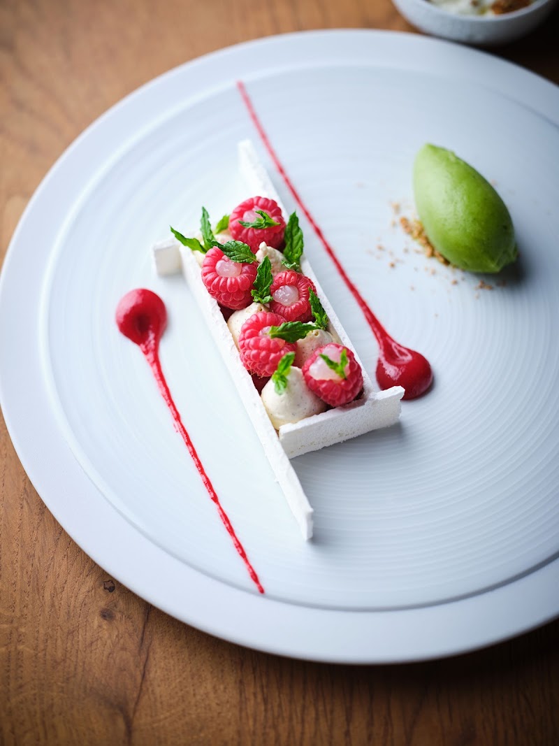 Loiseau des Ducs - Dijon - France - booked ai