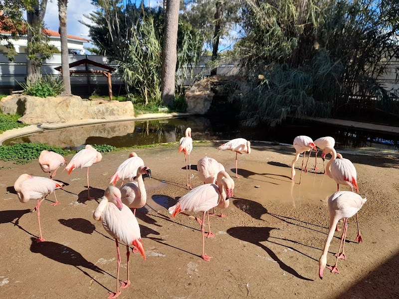 Discovering Wildlife Wonders at Limassol Zoo - Lemesos - Cyprus - booked ai