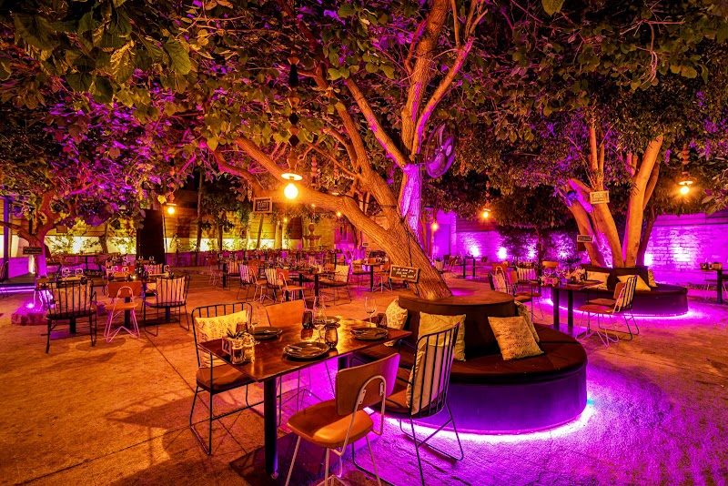 Dionysus Mansion - Lemesos - Cyprus - booked ai