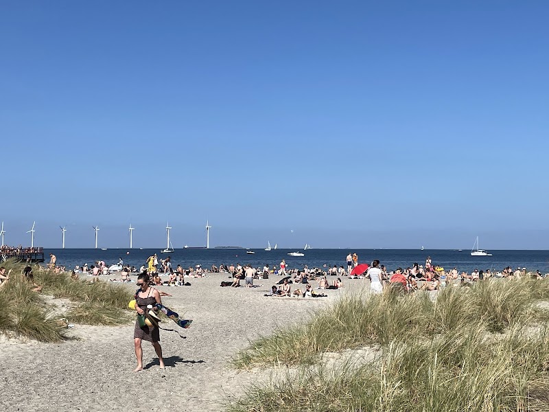 Walk along the Amager Strandpark promenade - København - Denmark - booked ai