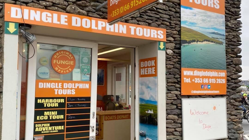 Take a boat tour to see Fungie the Dolphin and explore Dingle Bay - Dingle - Ireland - booked ai