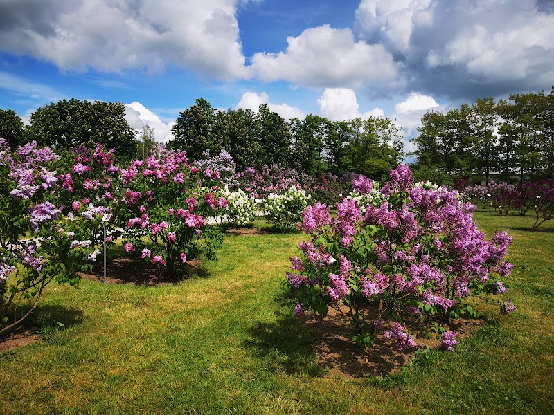 Explore the Lilac Garden (Dobele Lilac Park) - Dobele - Latvia - booked ai